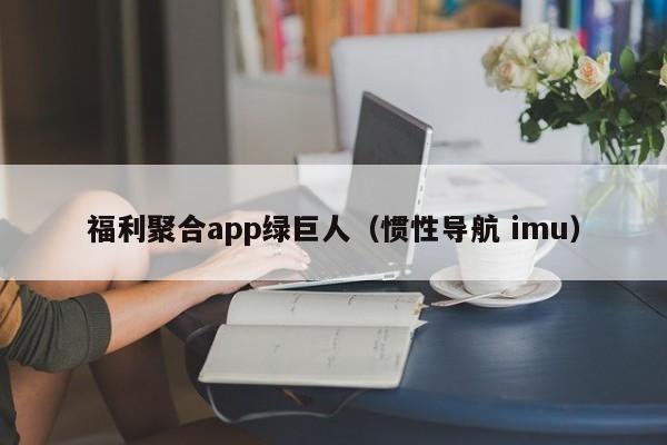 福利聚合app绿巨人（惯性导航 imu）