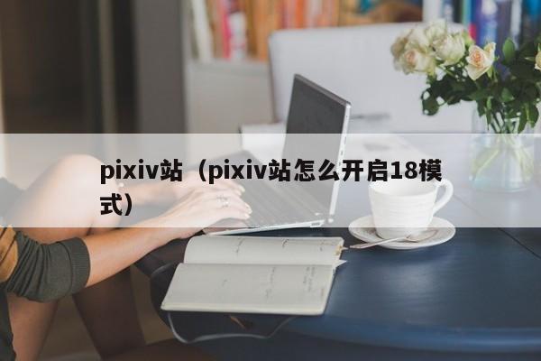 pixiv站（pixiv站怎么开启18模式）