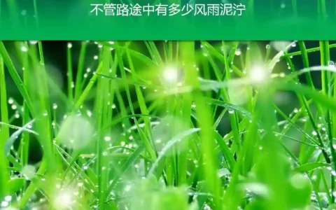 形容雨的句子有哪些（盘点下雨的有意境的短句子）