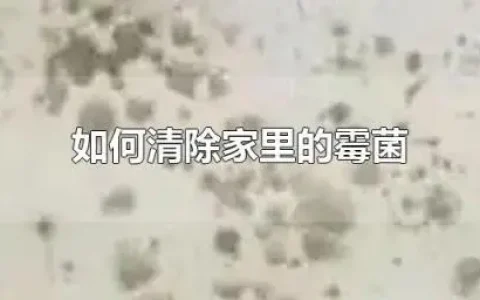 如何清除家里的霉菌