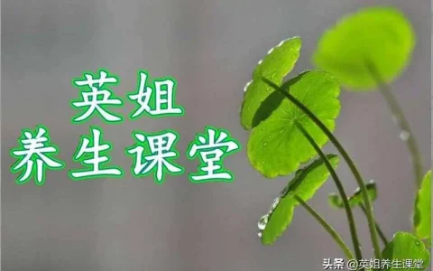 bmi是什么，bmi越高越胖吗