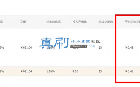 PPC低至0.3？直通车最新低价引流玩法分享~！