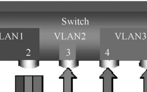 pvid和vlan id的区别求回答(pvid和vlan有什么区别)