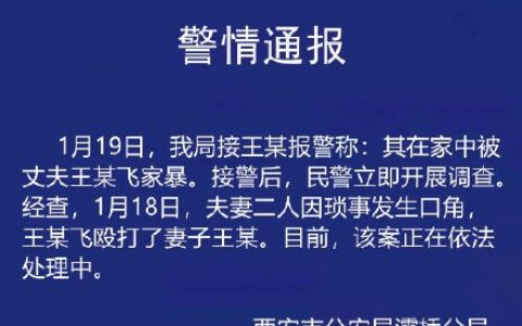 高管当孩子面暴打妻子 警方通报 该事件始末详情曝光！