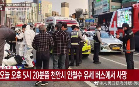 韩总统候选人竞选车上2人死亡 到底怎么一回事?始末回顾