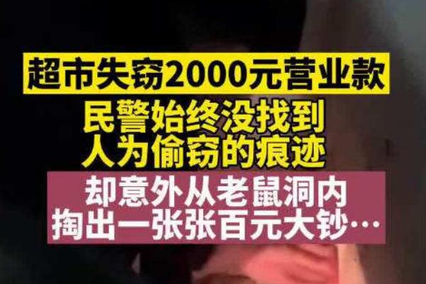 老鼠偷窃超市2千金币拖进老鼠洞 老鼠会爬到床上咬人吗