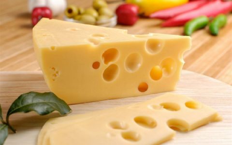 干酪和奶酪哪个营养高(牛奶和奶酪的营养区别)