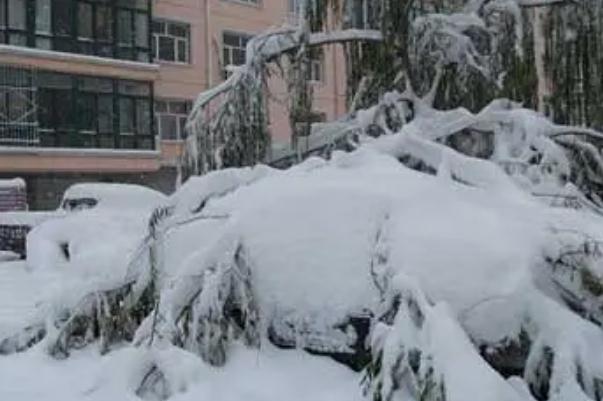 积雪破历史极值湖南今冬为何多雪 积雪是怎么形成的