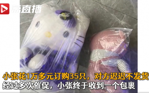 男子花万元购冰墩墩收到HelloKitty 具体是什么情况??