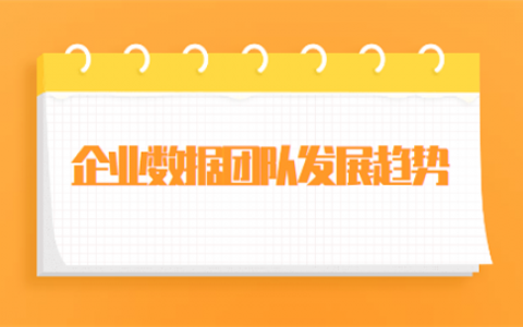 重庆企业数据团队发展趋势是怎样的?