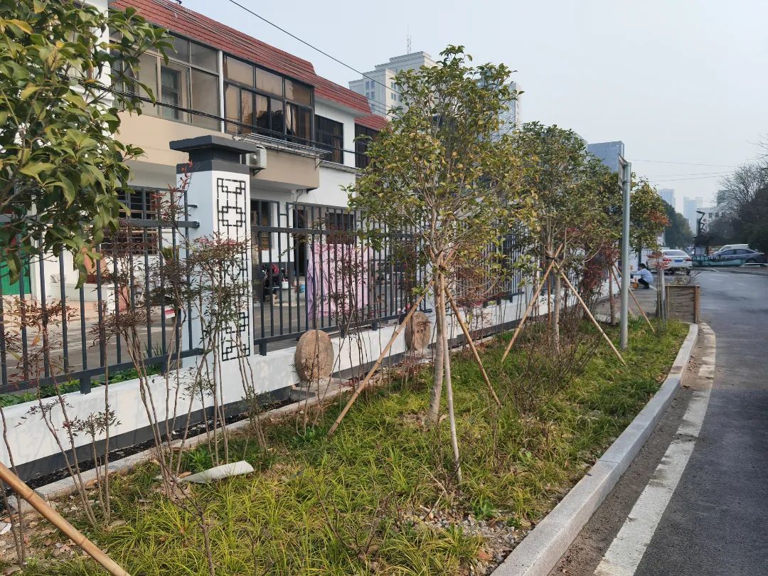 小区改造、新建学校…太仓这些民生实事项目有新进展