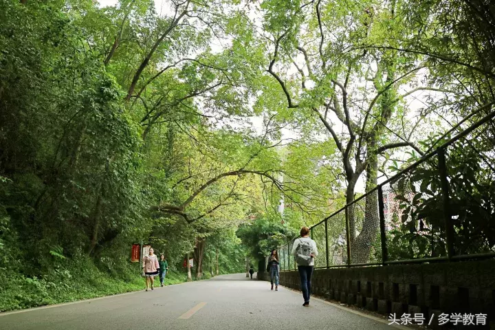 专业老司机带你看懂大小自考的区别？西南大学专本科怎么想拿就拿