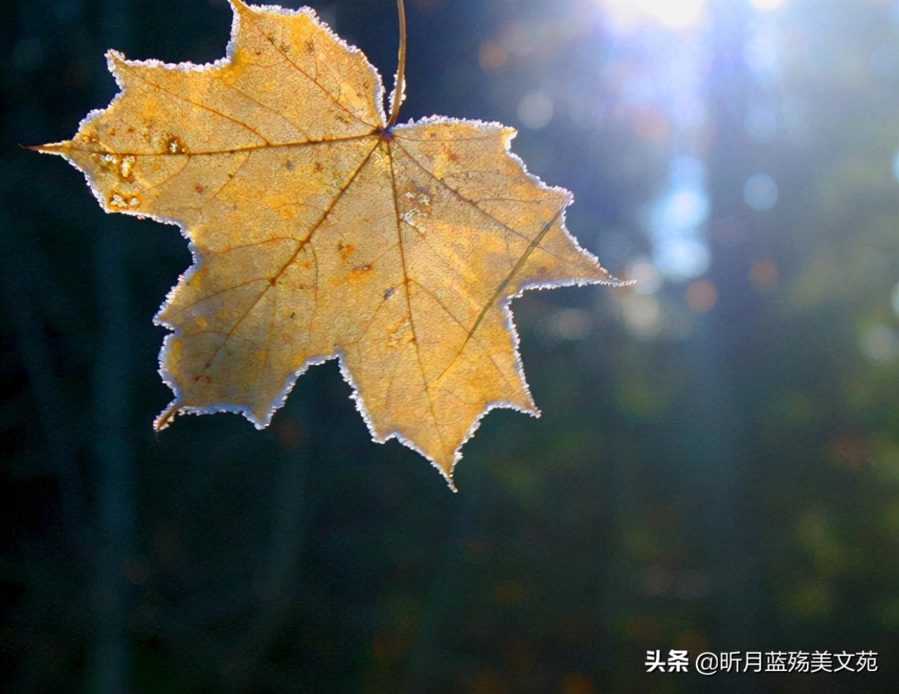 立冬，心有温暖，岁月静好