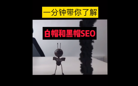 详解黑帽seo惯用的一些伎俩(常见的黑帽seo手法有哪些)