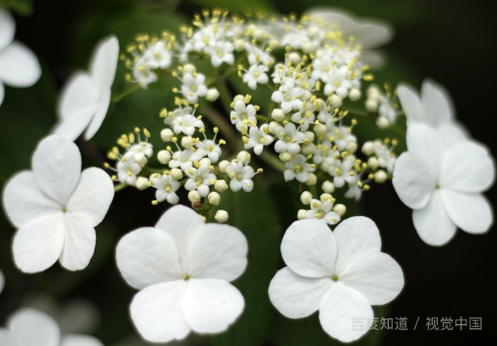 怎么把安卓手机的照片备份到电脑