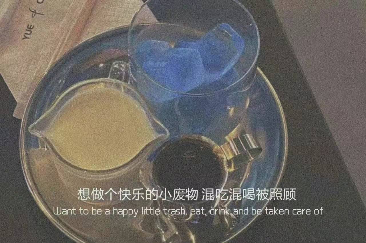 评论区里摘抄的经典文案