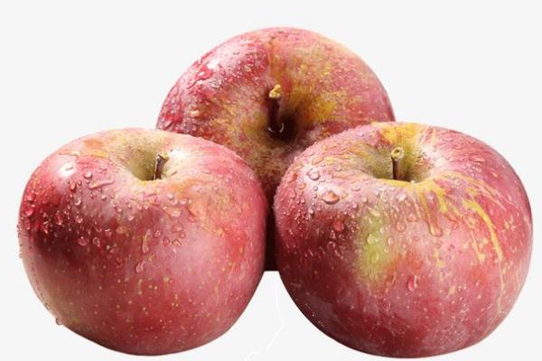 丑苹果的营养价值 丑苹果的特点
