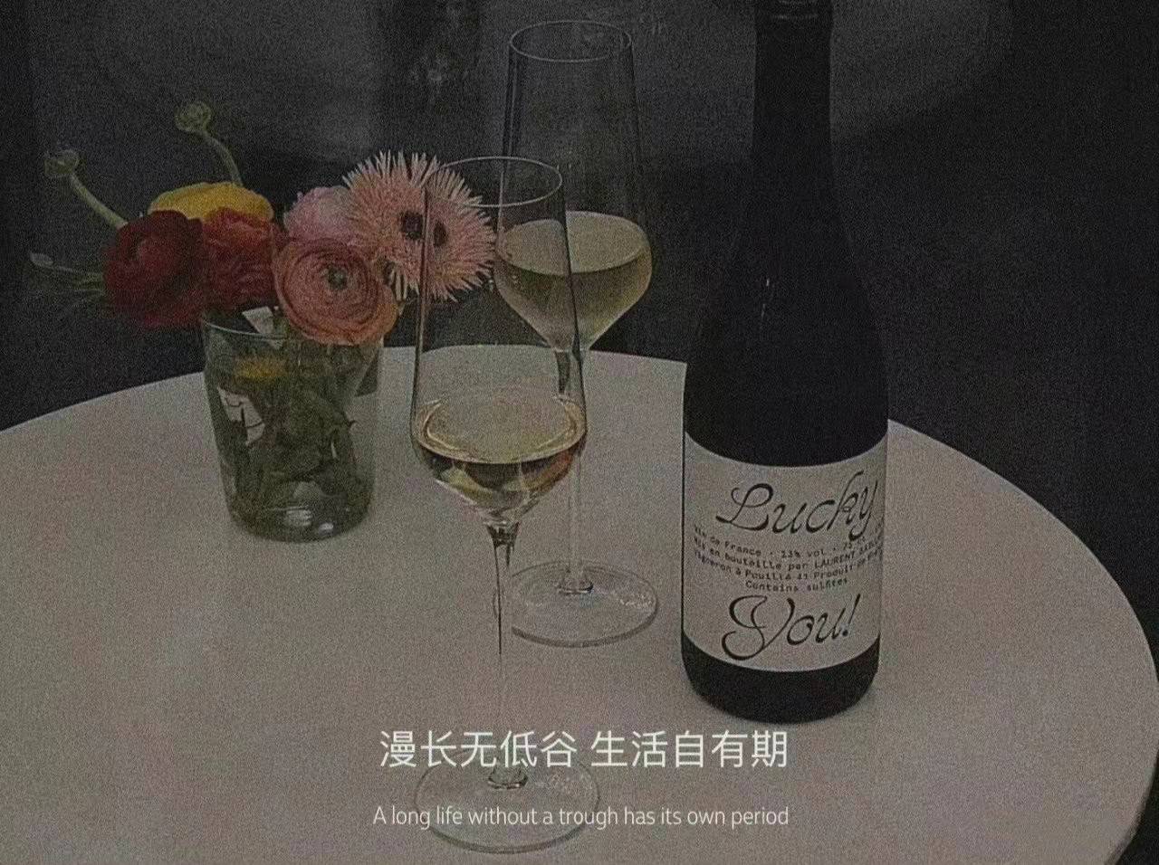 评论区里摘抄的经典文案