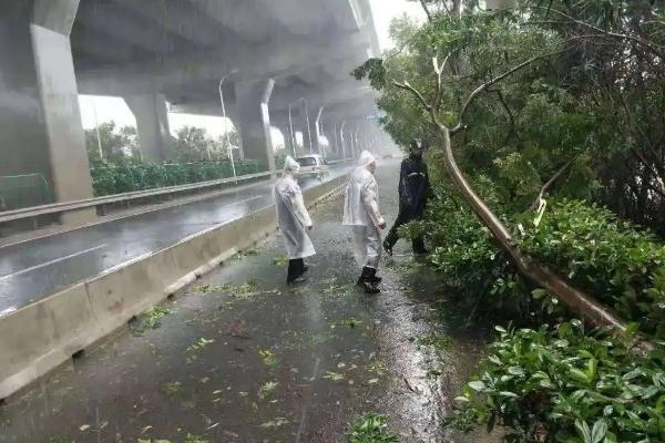 四川13级大风致20伤直击现场 大风要注意些什么