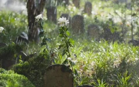 四川清明节扫墓吗，清明扫墓下雨