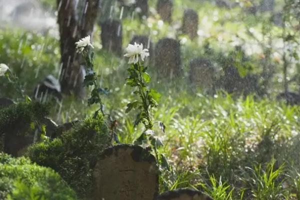 清明时节多地晴好四川难逃雨纷纷 清明节为什么要扫墓