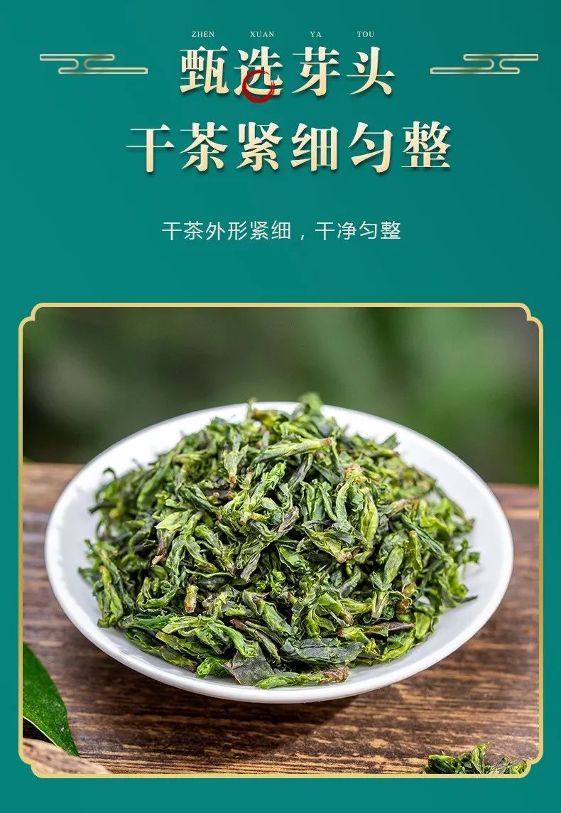 大小叶苦丁茶的区别，大叶苦丁茶和小叶苦丁茶有什么不同