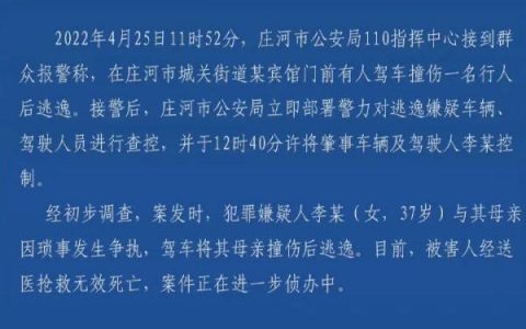 因琐事发生争执女子驾车撞死母亲，具体是什么情况？