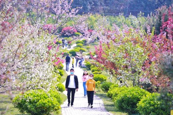 国家植物园正式揭牌 植物园是什么意思