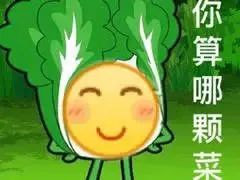 【热梗百科】“小趴菜”是什么梗？