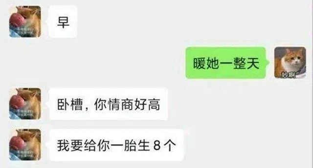 “暖她一整天”是什么梗？