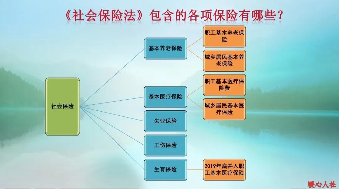 社保缴费10年、15年、20年、25年、30年，分别有哪些作用？