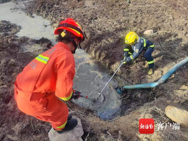 遇到蛇要怎么办？海南消防员总结“防蛇攻略”，请收好