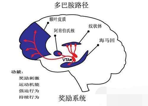 如何在做事时拥有持久的意志力？十二种技巧，让你的坚持更容易