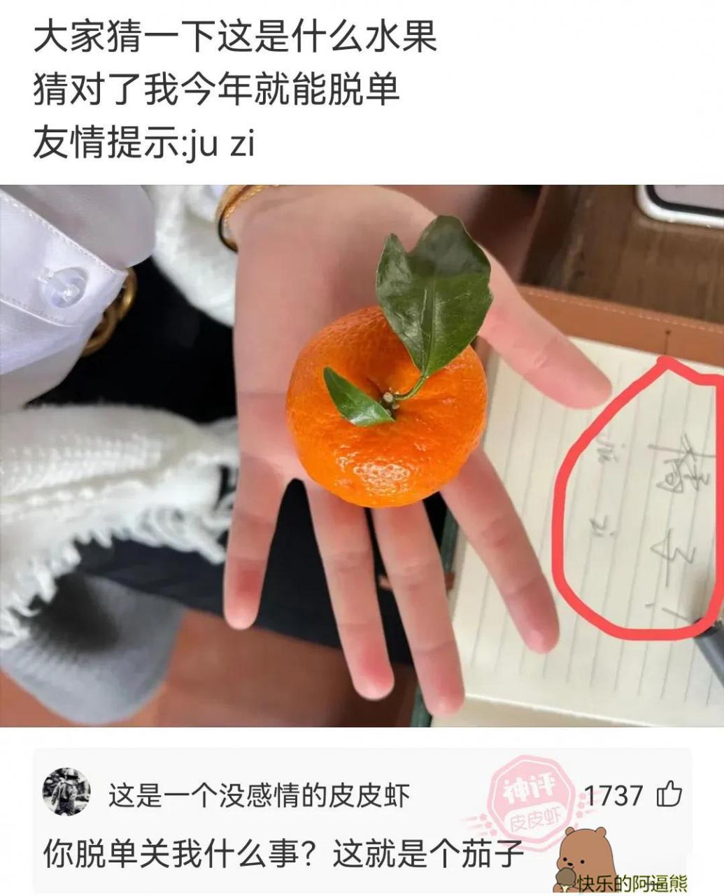 爆笑神回复合集：有没有电脑高手，求指教