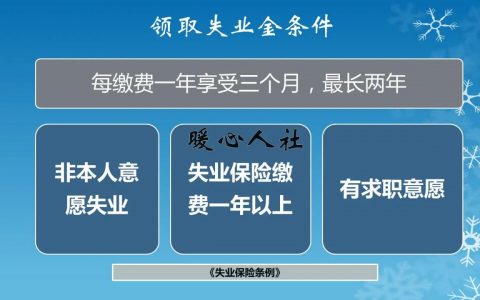 社保到底包括什么？大学生不着急交社保吗？这是答案-