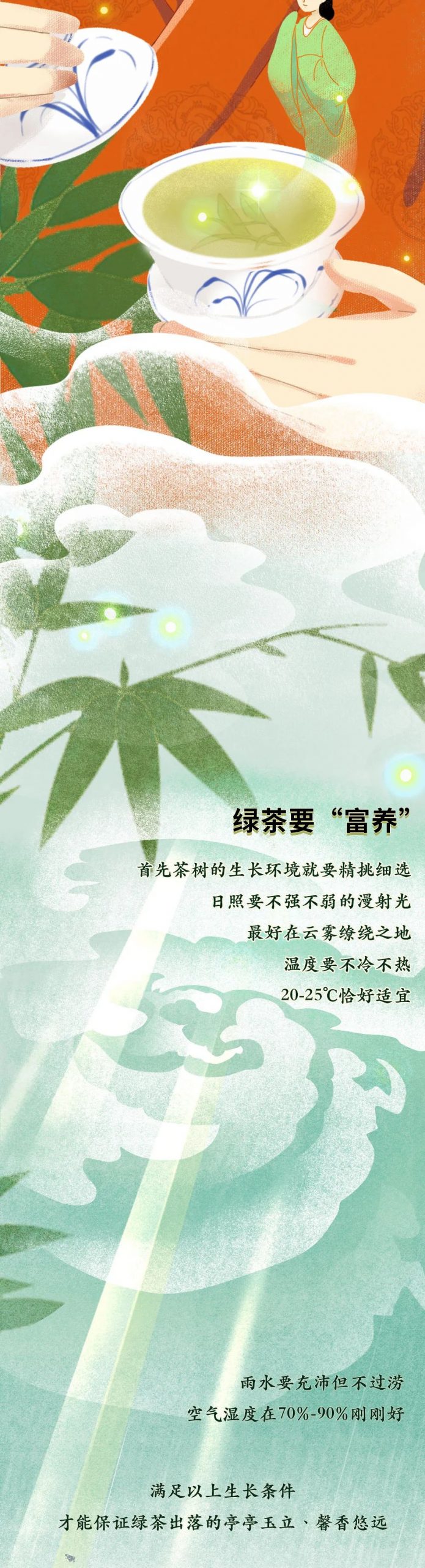 让人欲罢不能的顶级绿茶，是怎样养成的？