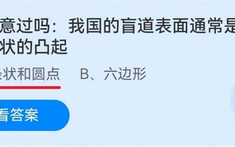 提示盲道表面呈现什么形状，各种形状的盲道是什么意思