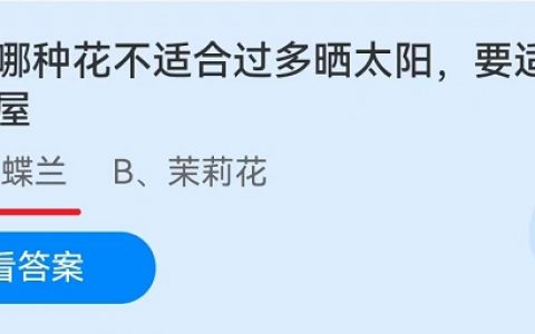 哪些花不用晒太阳放在阴凉的地方，什么花要放在太阳下晒