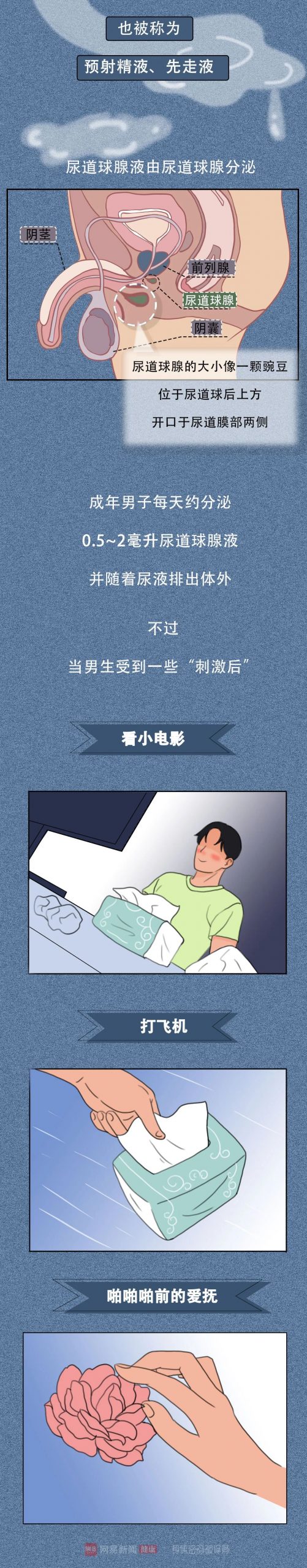 男生丁丁兴奋时，流出的液体是什么？