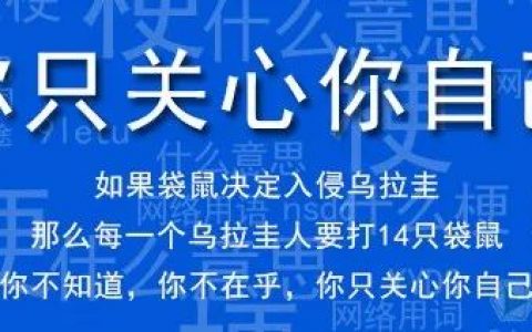 你只关心你自己 是个什么梗