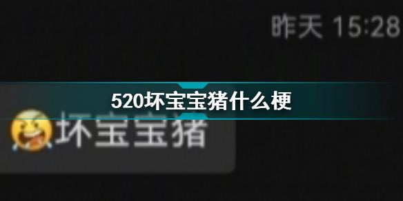 520坏宝宝猪梗的意思介绍