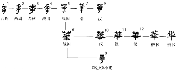 “华”字的组词汇总！