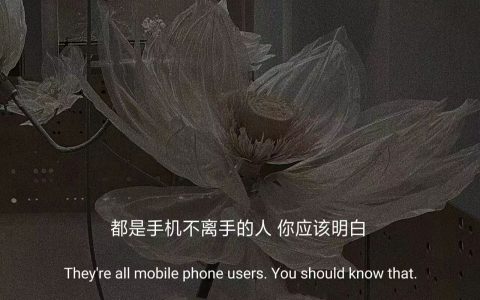 你没有看过的文案，找不到的文案