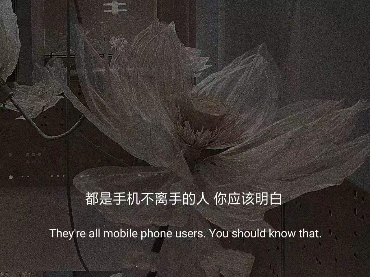 你永远搜不到的文案