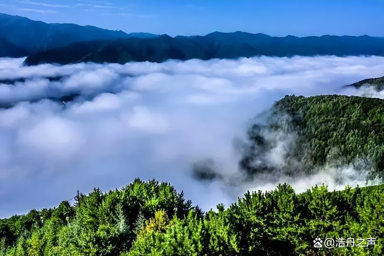 《第一瞳术师》一朝穿越成废材！翻手覆云算尽天下事，异瞳驭万兽