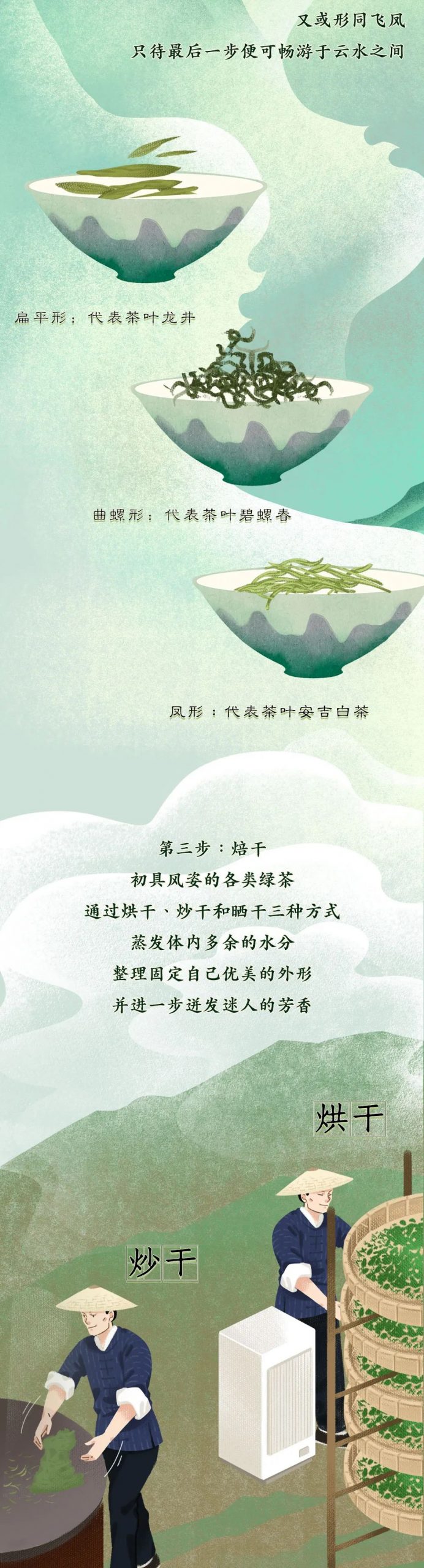 让人欲罢不能的顶级绿茶，是怎样养成的？