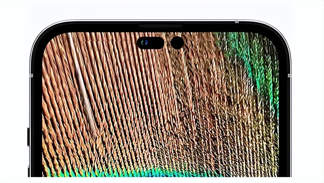 iPhone  14系列最新消息：屏幕大变样，电池也更大，iOS  16值得期待