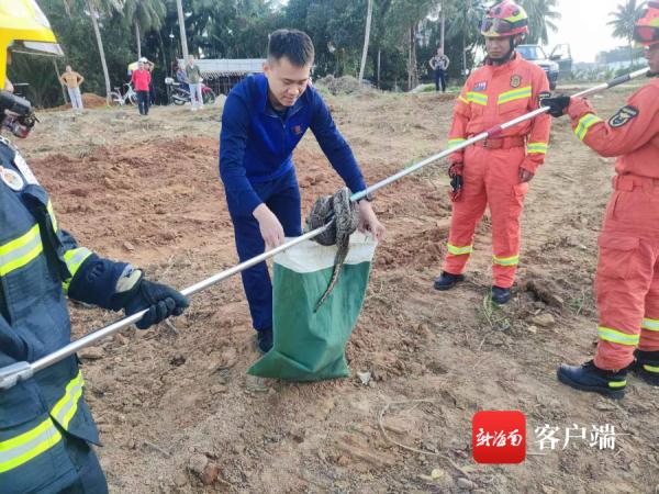 遇到蛇要怎么办？海南消防员总结“防蛇攻略”，请收好