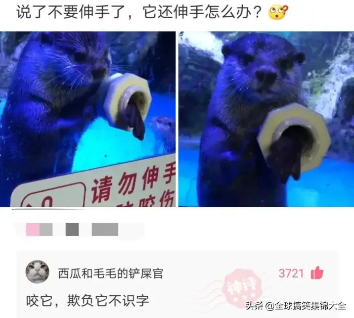 每日搞笑：有没有什么事情已经活了三十多年，至今没有发现？