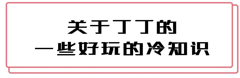 男生丁丁，那些难以启齿的私密数据...